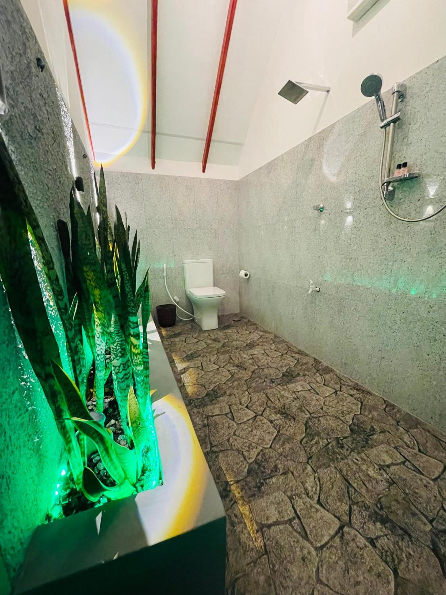 Sigiri Enaya Cottage 시기리야 외부 사진