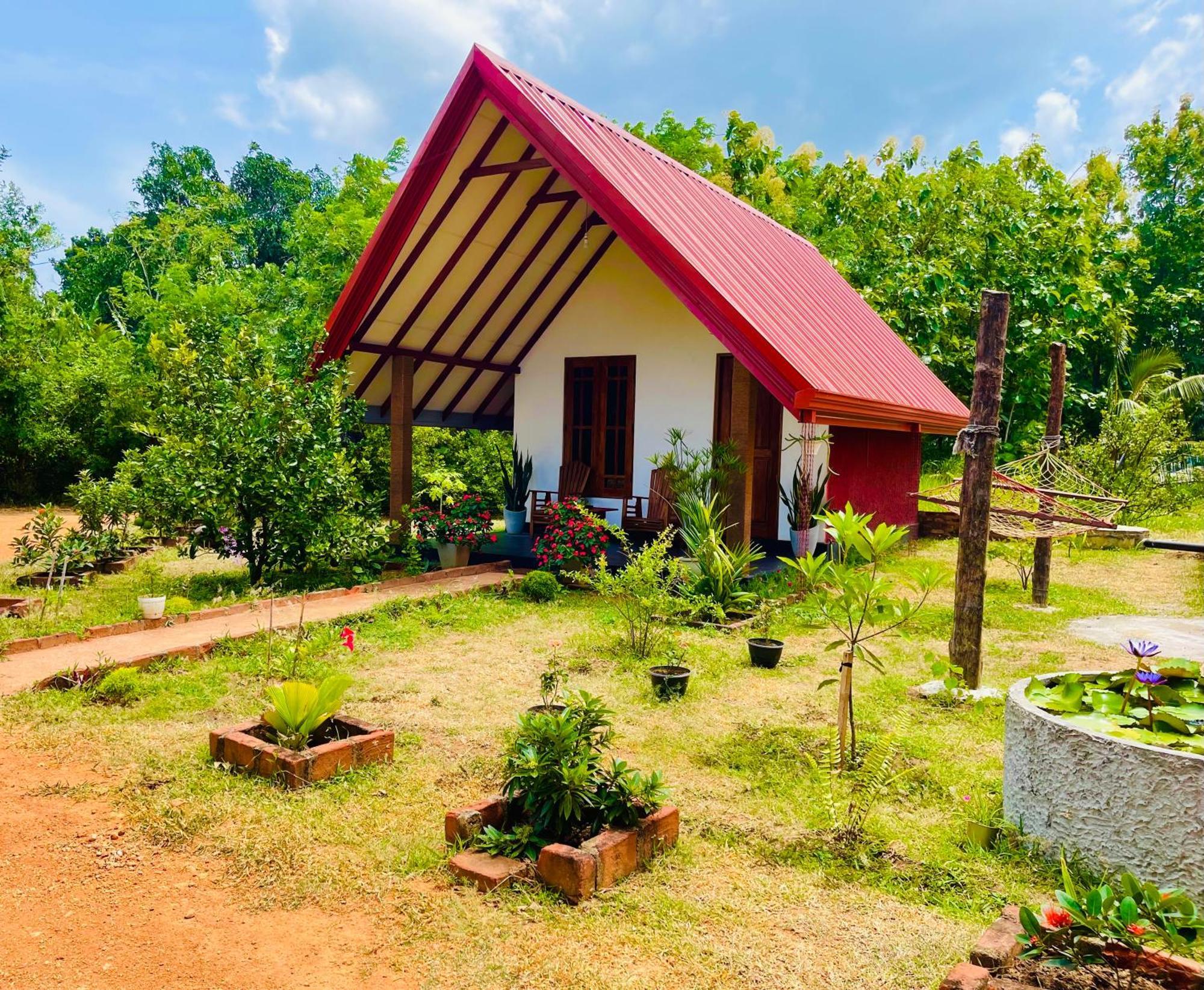 Sigiri Enaya Cottage 시기리야 외부 사진