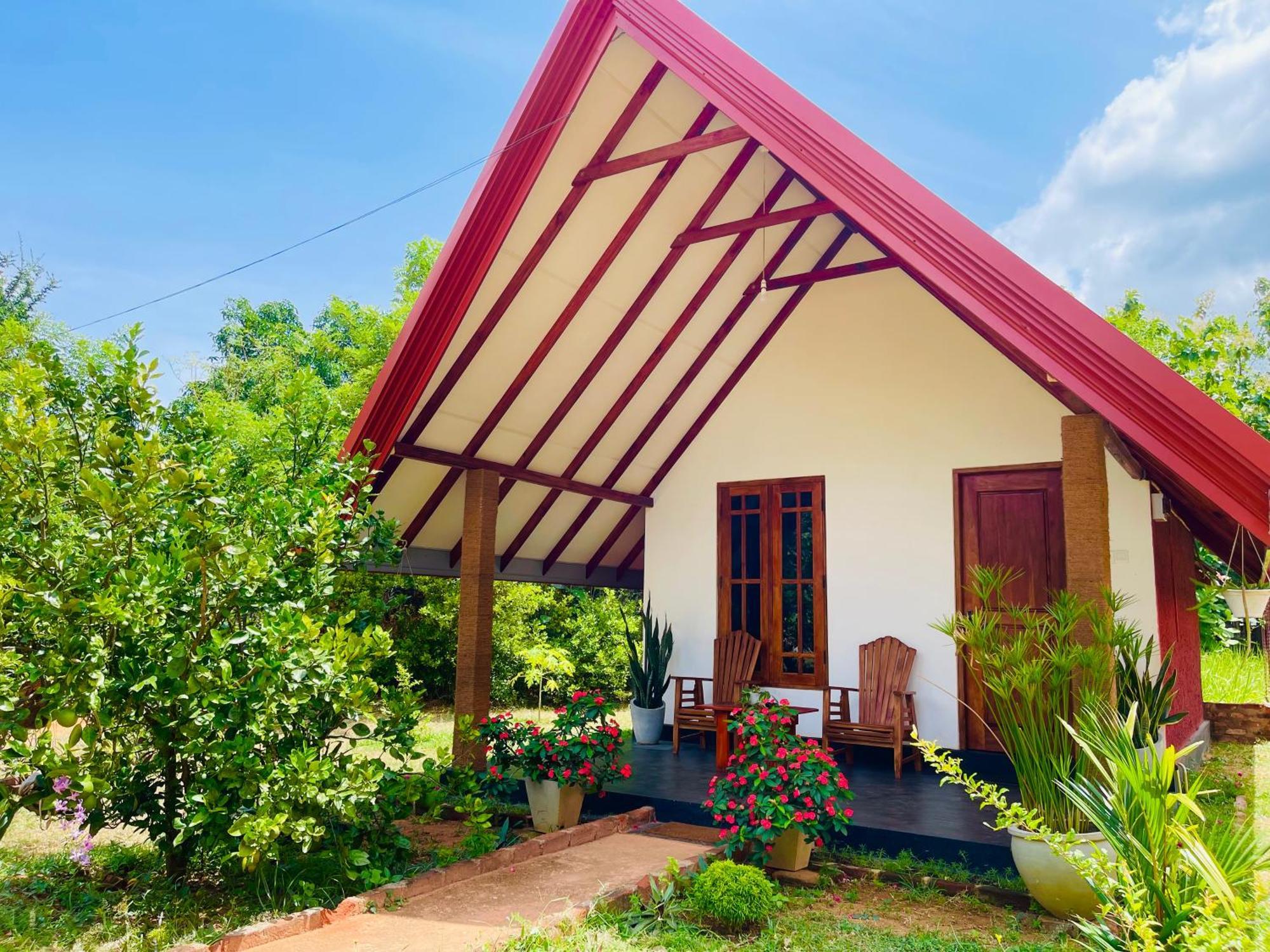 Sigiri Enaya Cottage 시기리야 외부 사진