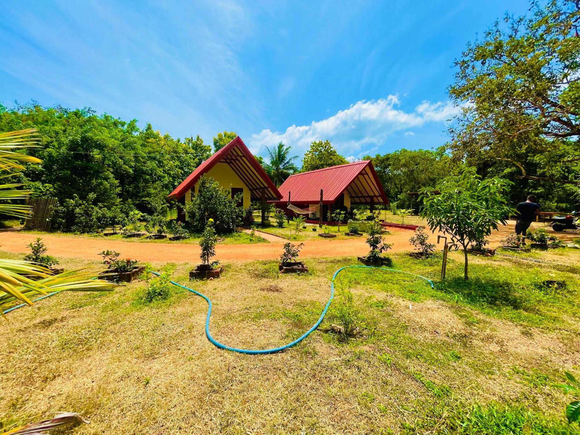 Sigiri Enaya Cottage 시기리야 외부 사진